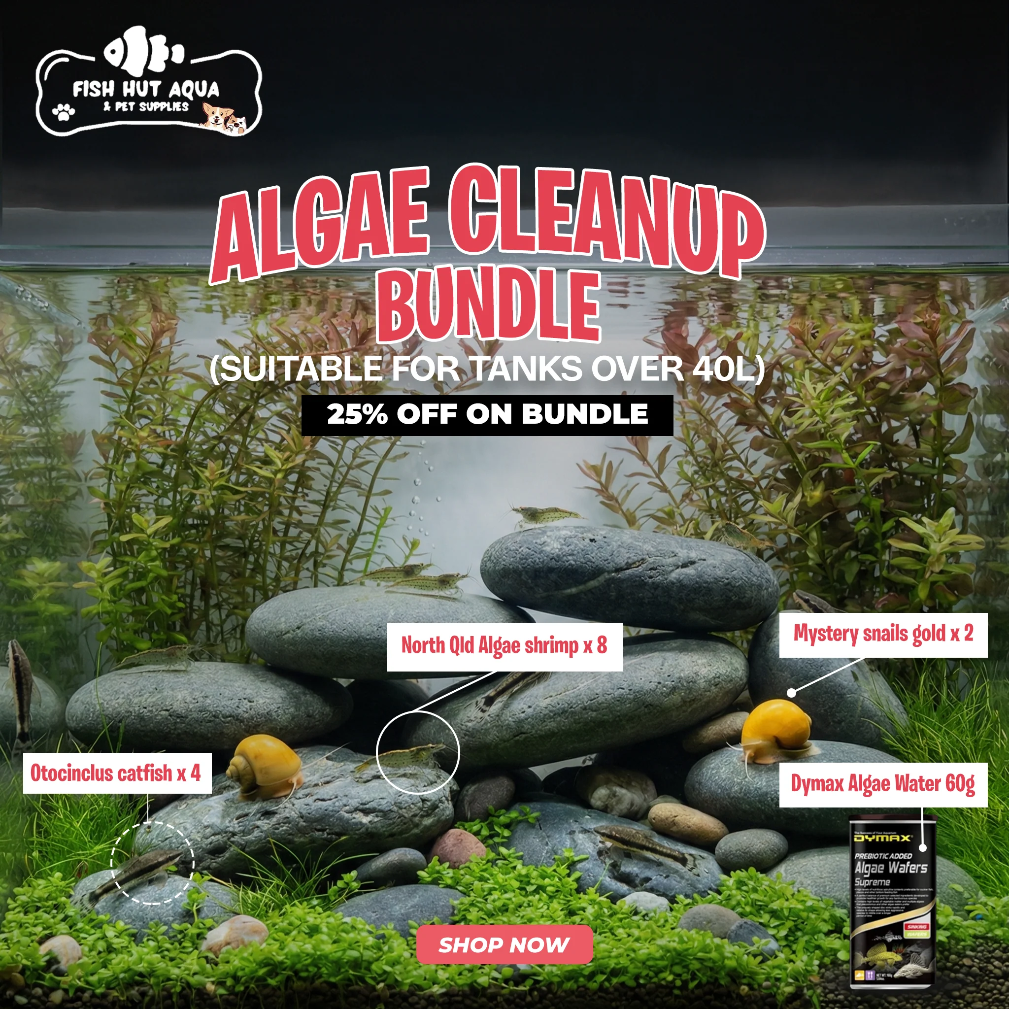 Algae Cleanup Bundle - 25% OFF - Image 2